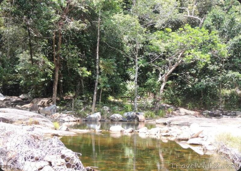 Jungle Langkawi Malaysia