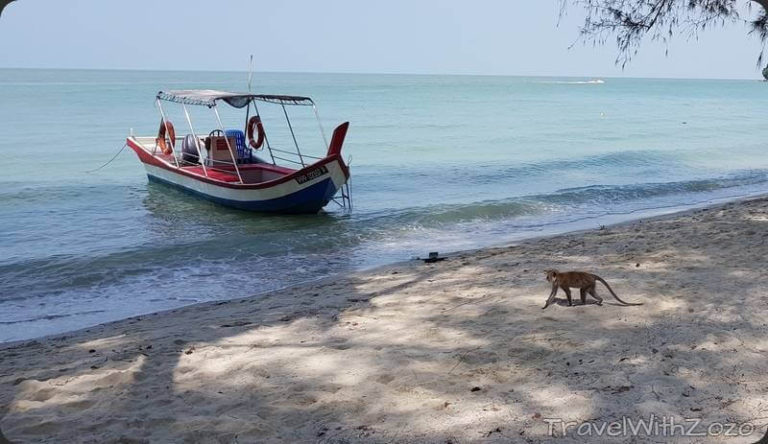 Monkey Beach Penang Malaysia