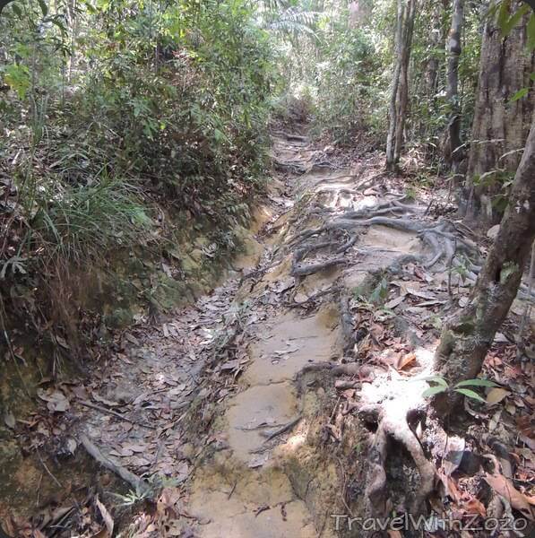 Jungle Road Penang Malaysia