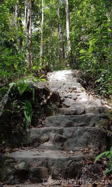 Jungle Road Penang Malaysia